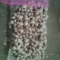 China fresh garlic factory offer CIF, new crop fresh garlic export